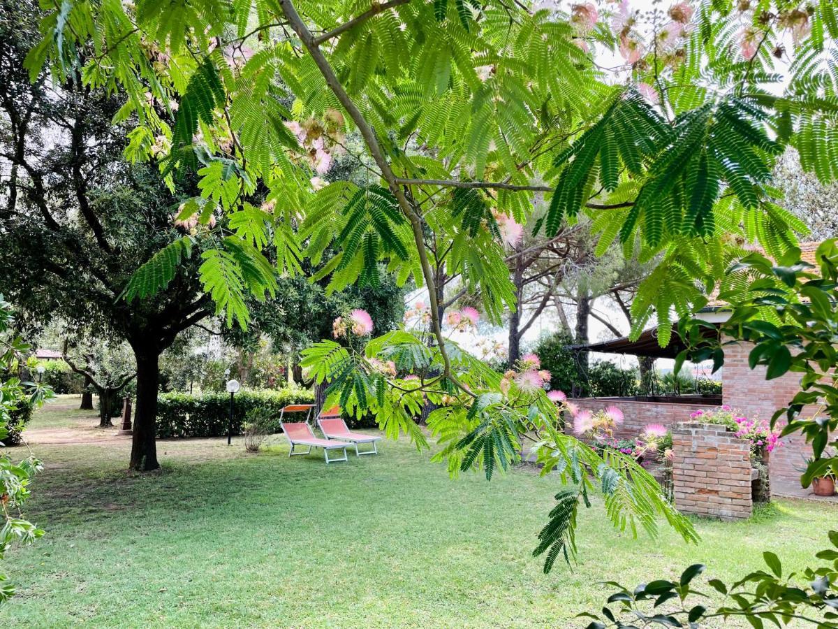 Agriturismo Salcino Villa Grosseto Bagian luar foto